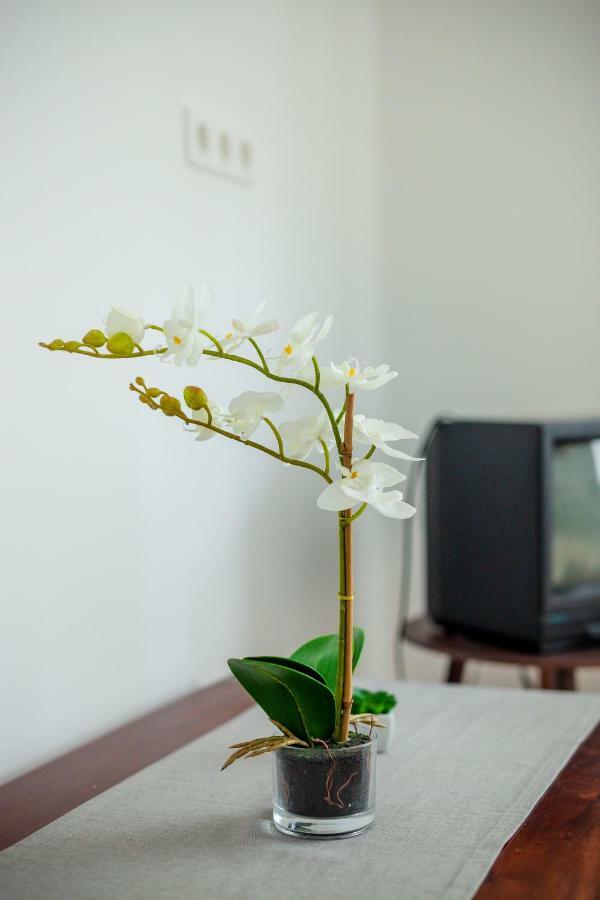 Viragos Vendeghaz Apartment Keszthely Bagian luar foto